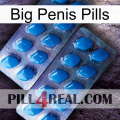 Big Penis Pills viagra2